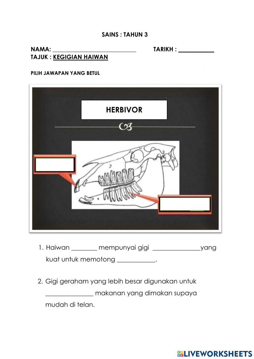 Kegigian Haiwan Tahun 3