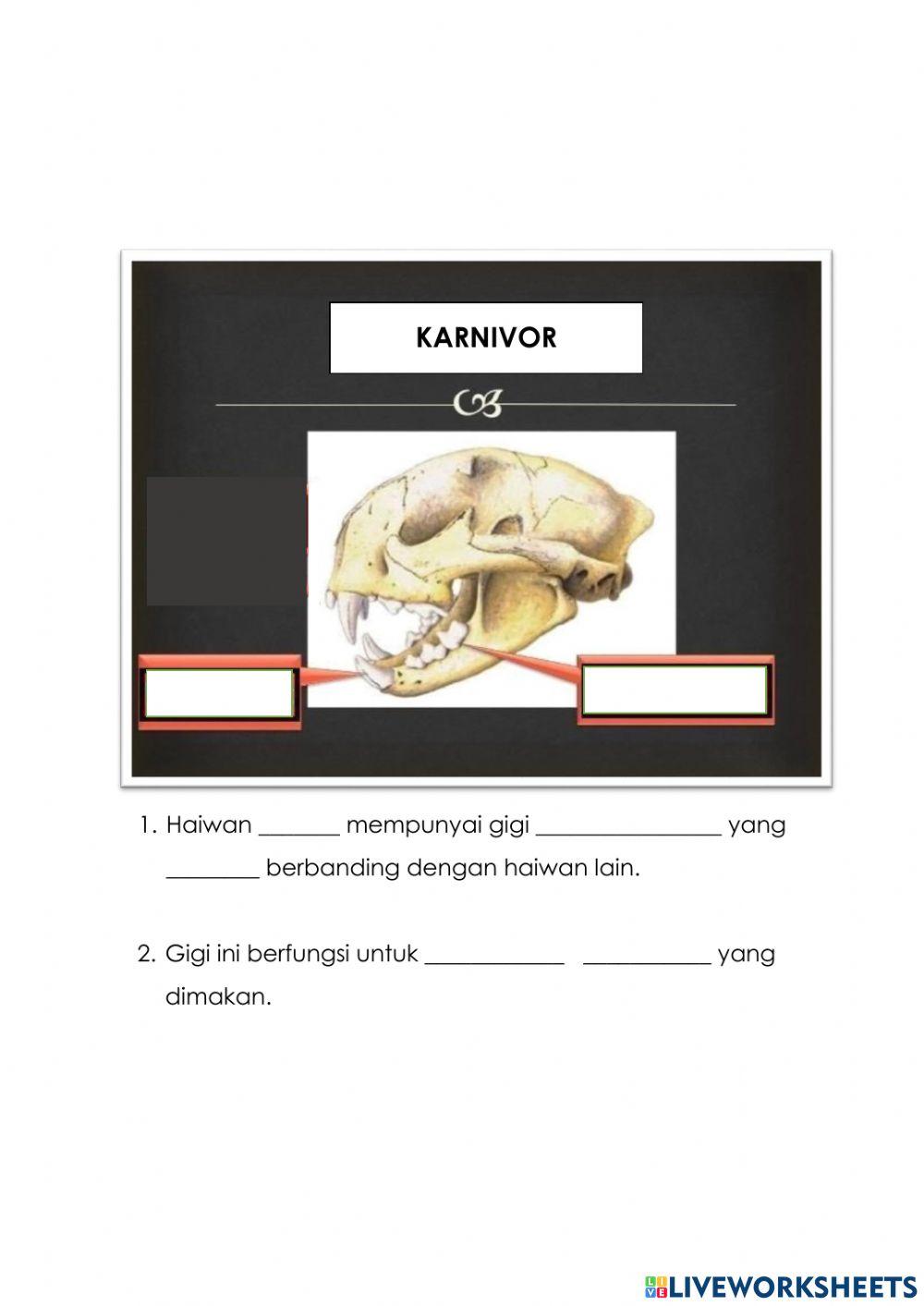 Kegigian Haiwan Tahun 3