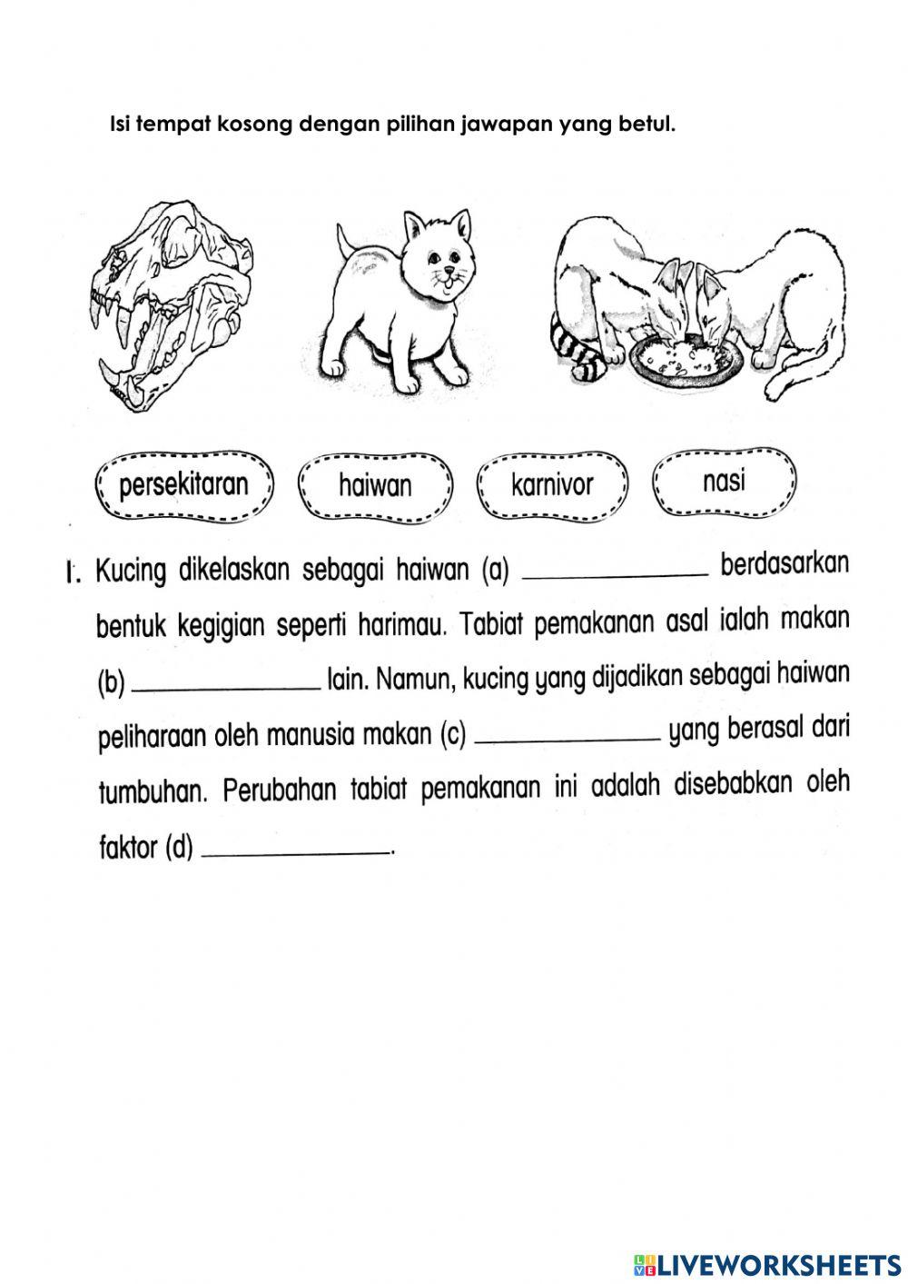 Kegigian Haiwan Tahun 3