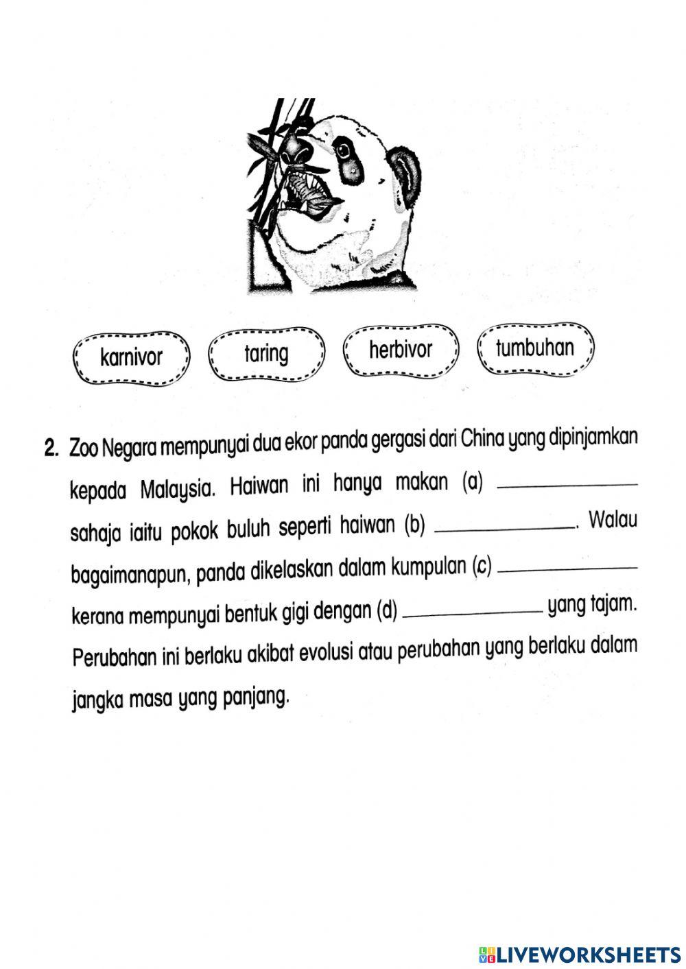 Kegigian Haiwan Tahun 3