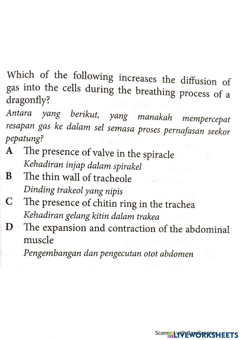 Quiz objektif sistem respirasi biologi t4