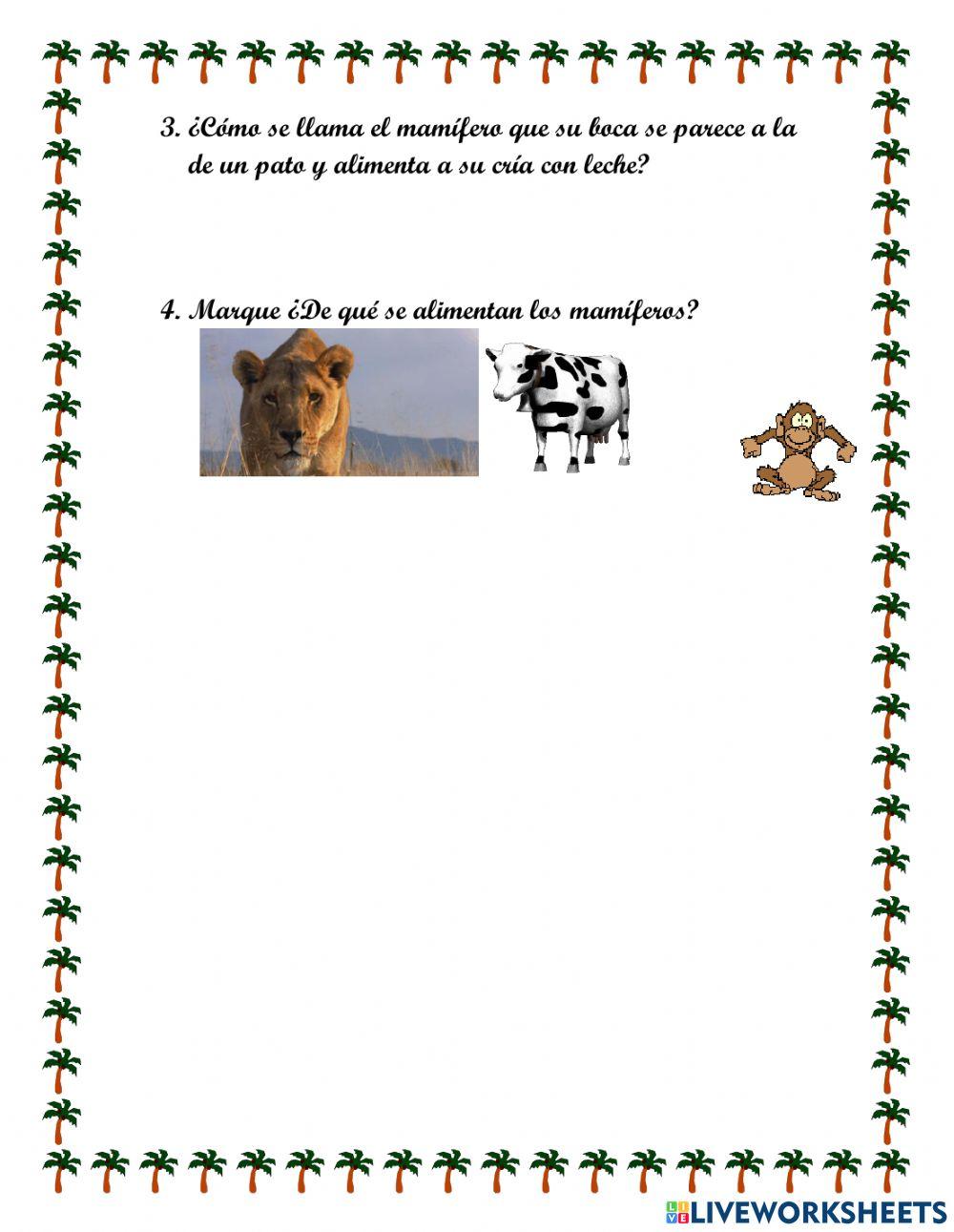 Características de los mamíferos