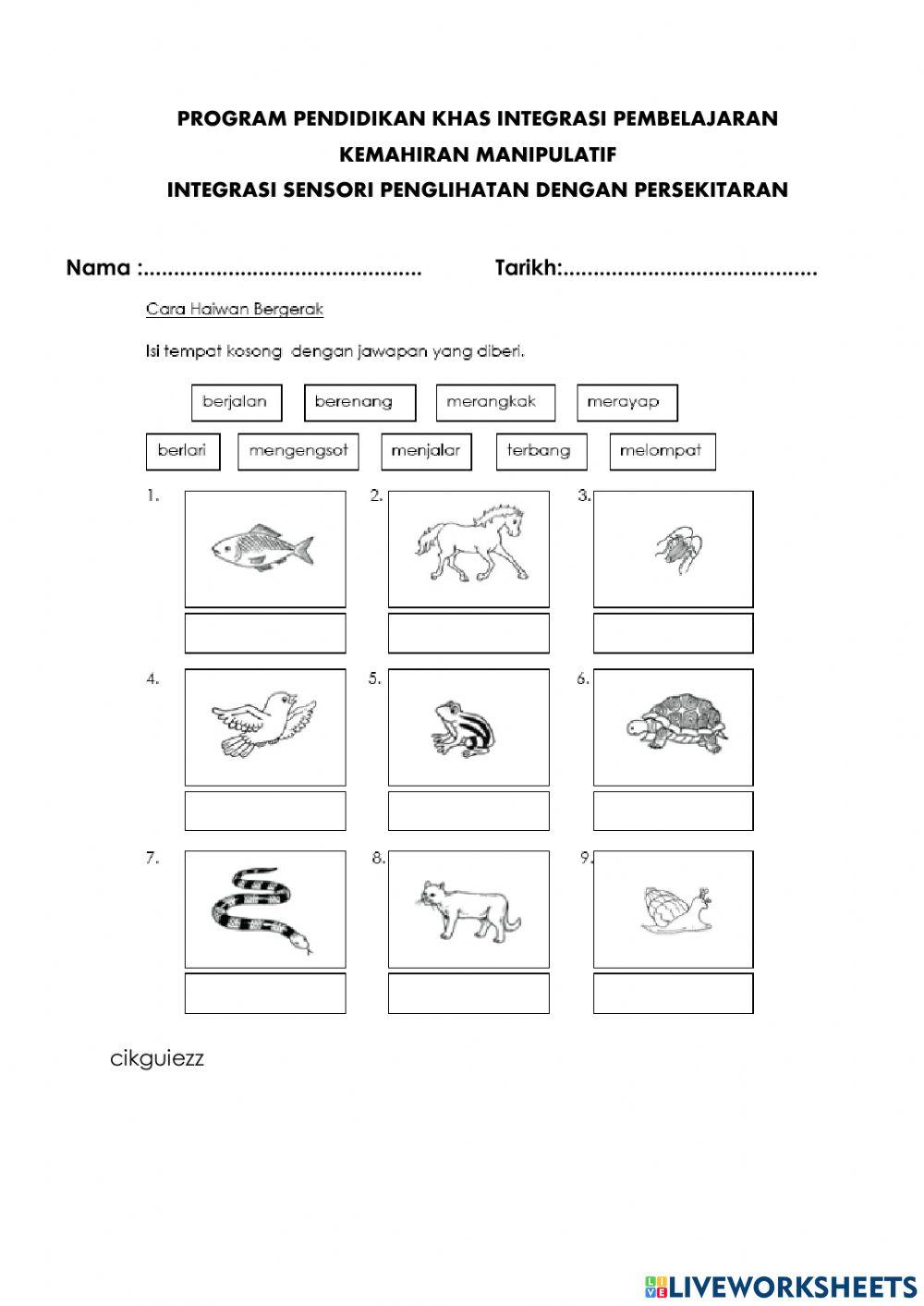 Jenis Pergerakan Haiwan