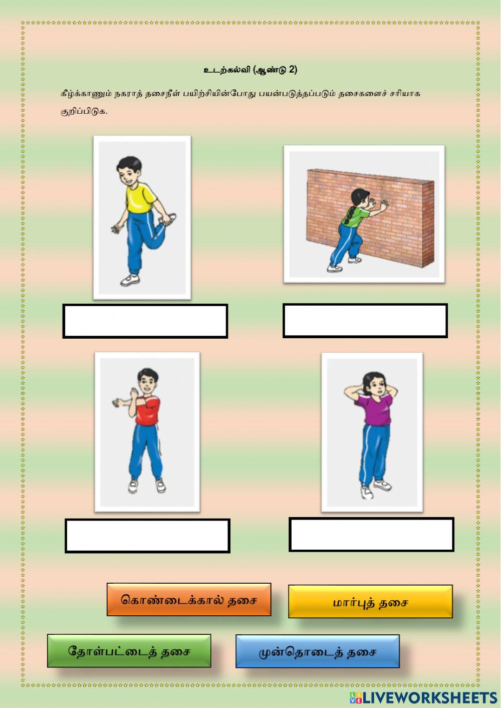 சுறுசுறுப்பின் கூறுகள்