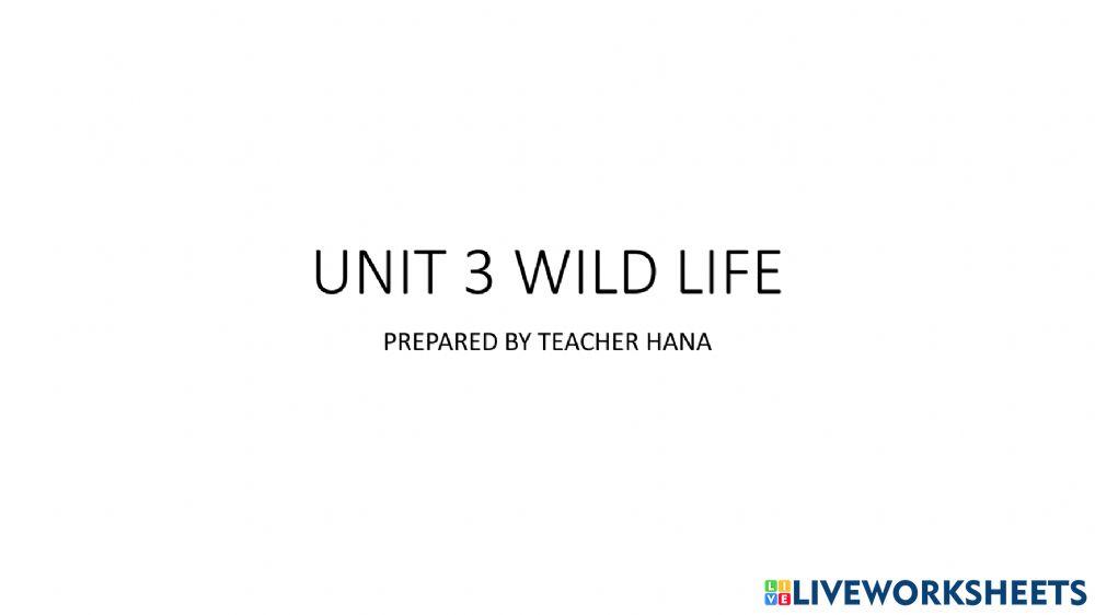 Unit 3: wild life Dialogue