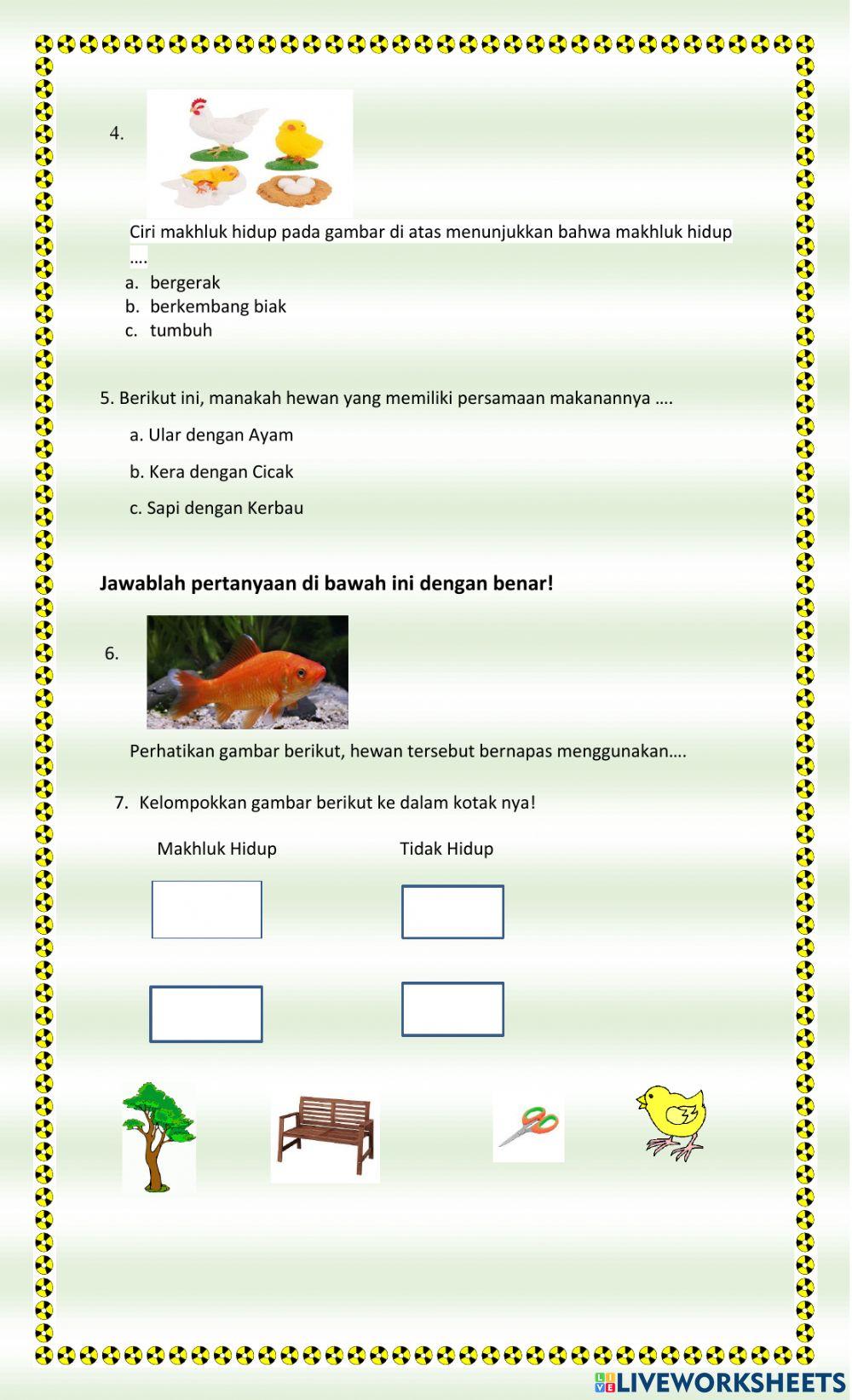 Evaluasi bahasa indonesia