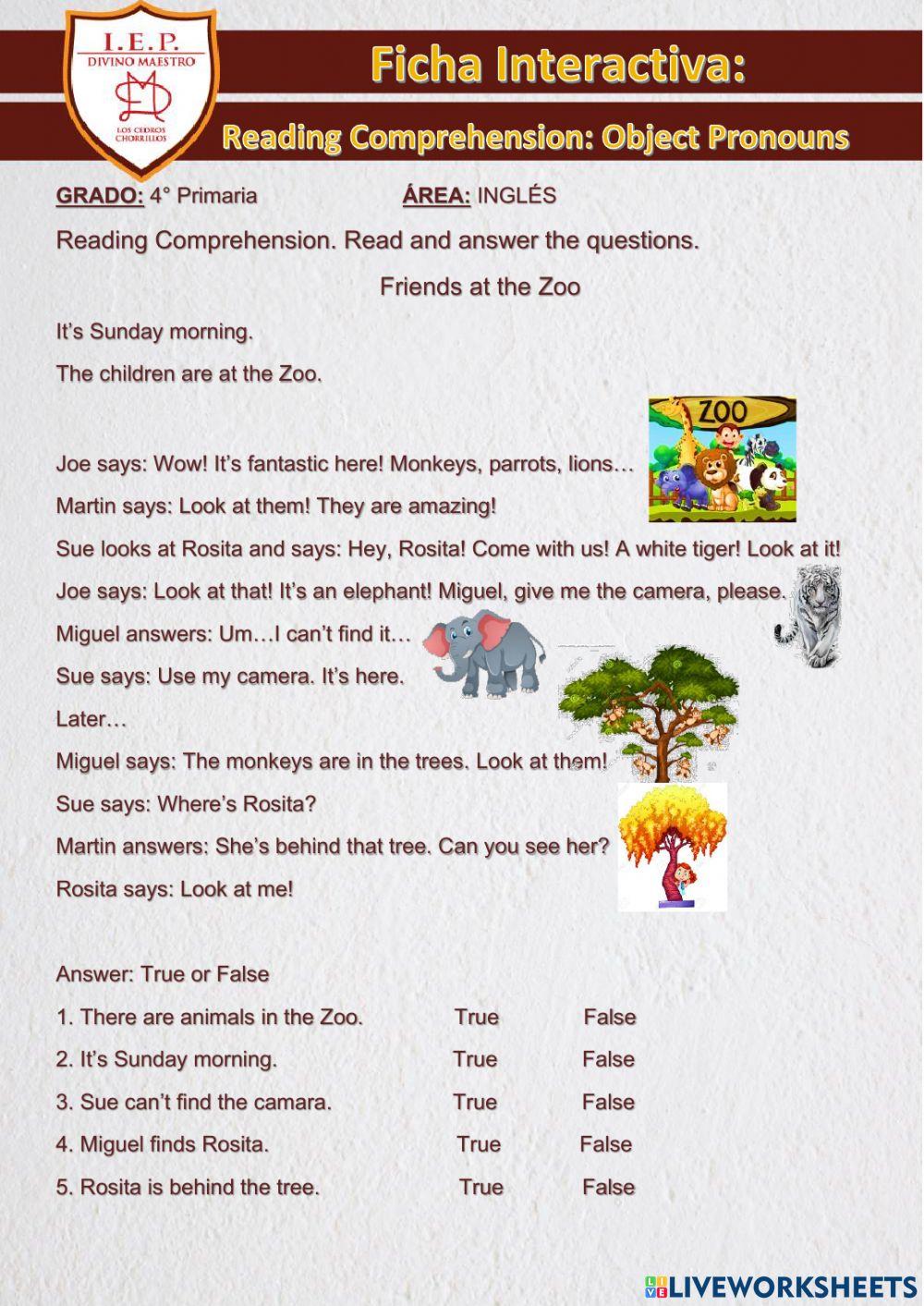 Object Pronouns - How much