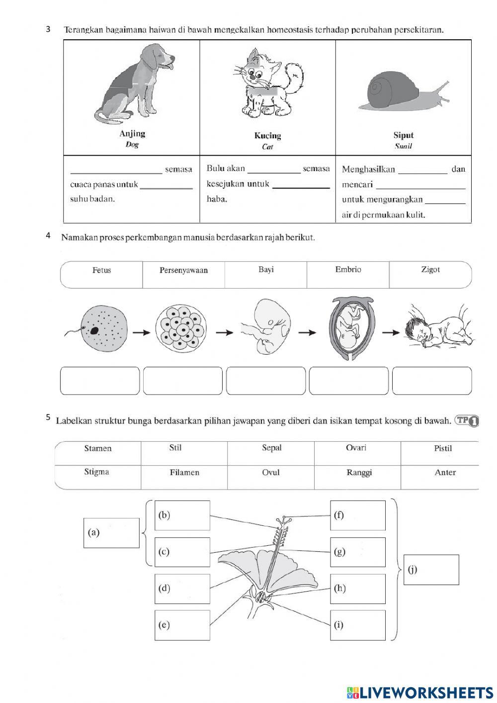 Ujian Formatif Subjektif Bahagian B