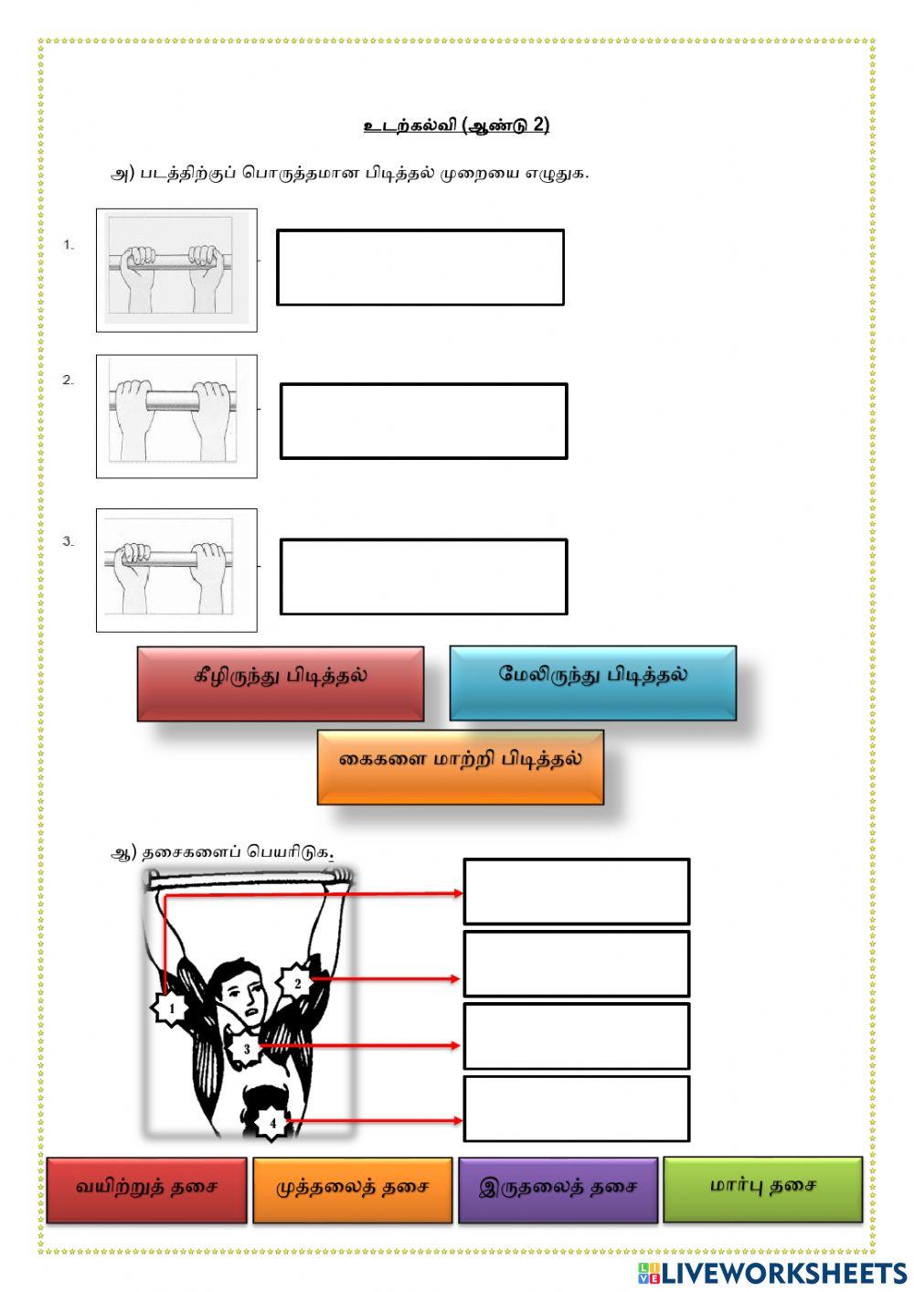 சுறுசுறுப்பின் கூறுகள்