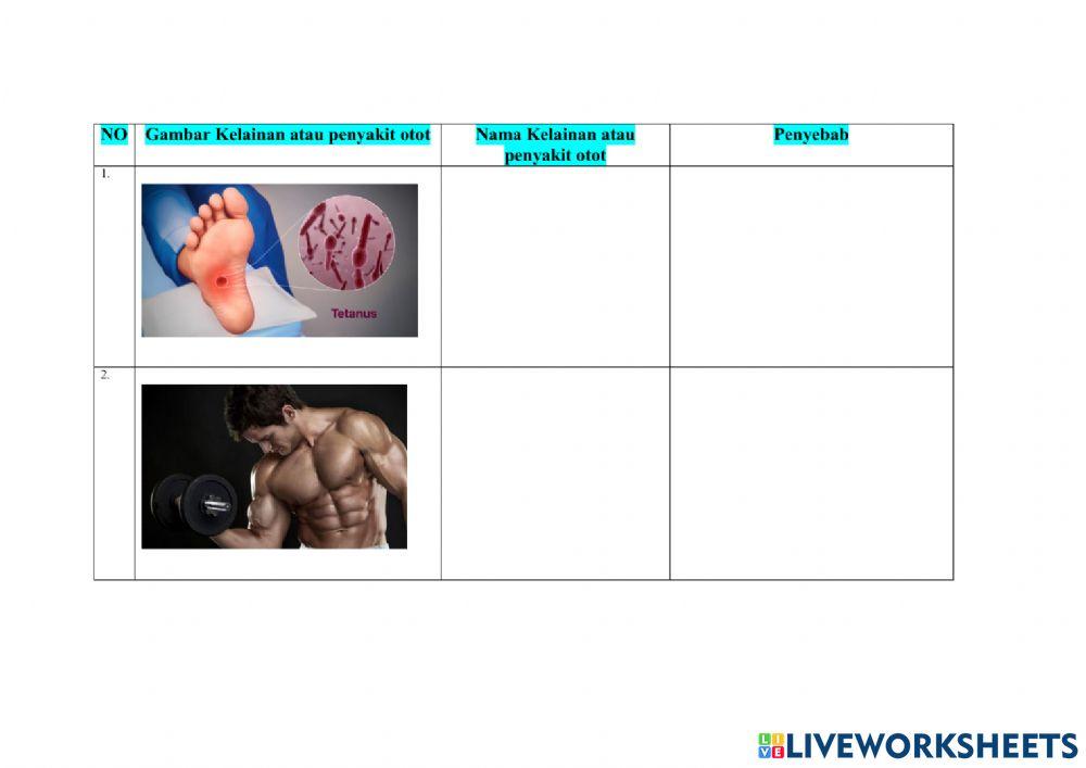 LKPD 1 tema 1 Sub tema 3 menganalisis kelainan atau penyakit otot pada manusia