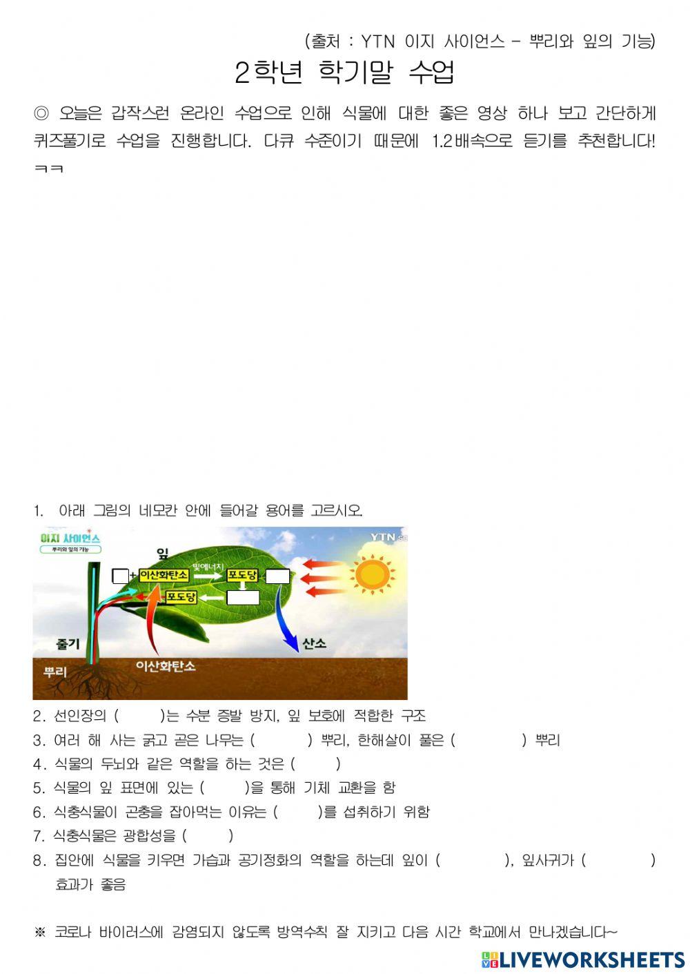 식물의 뿌리와 잎