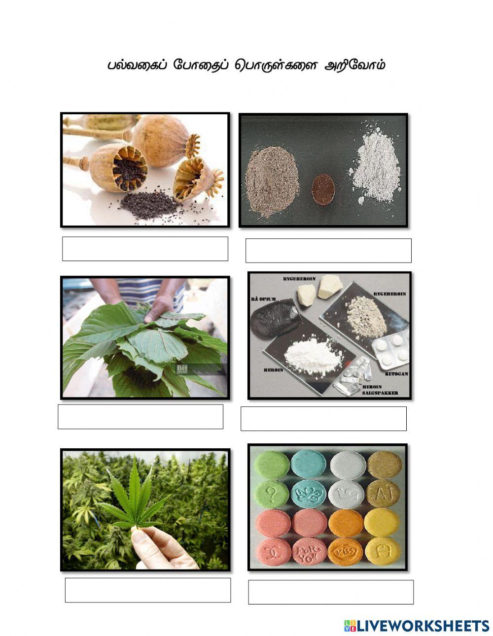 நலக்கல்வி ஆண்டு 6