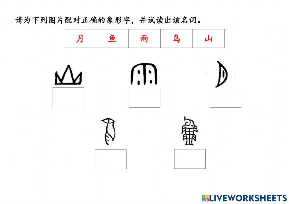 许老师汉语学习基础课程