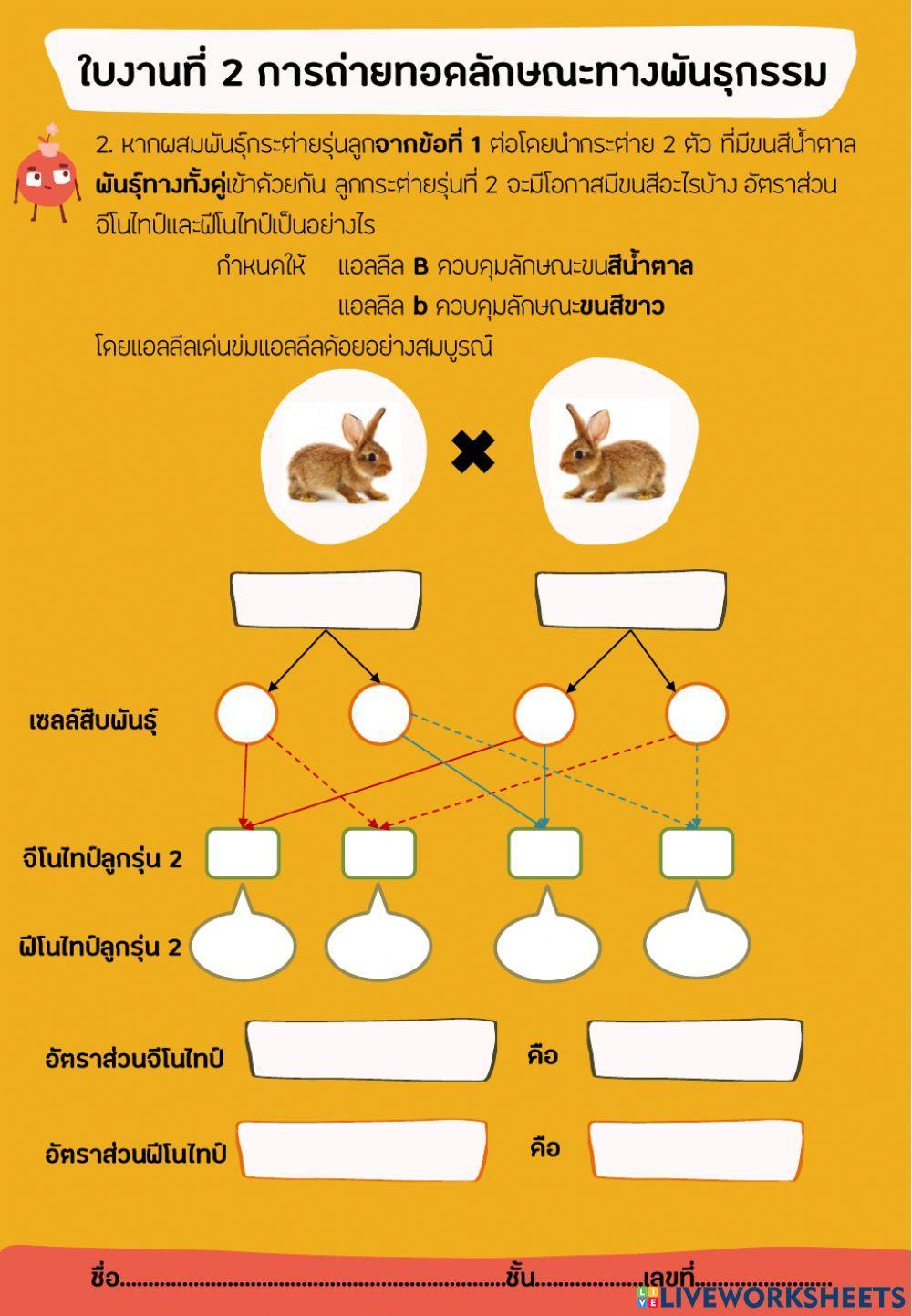 ใบงานที่ 2 การถ่ายทอดลักษณะทางพันธุกรรม