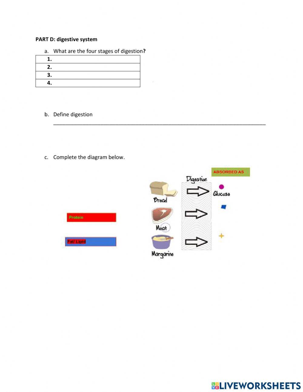 First term science exam