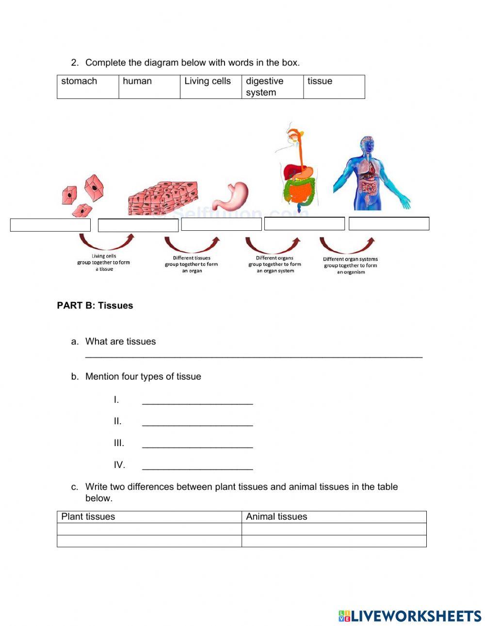 9th graders  science exam