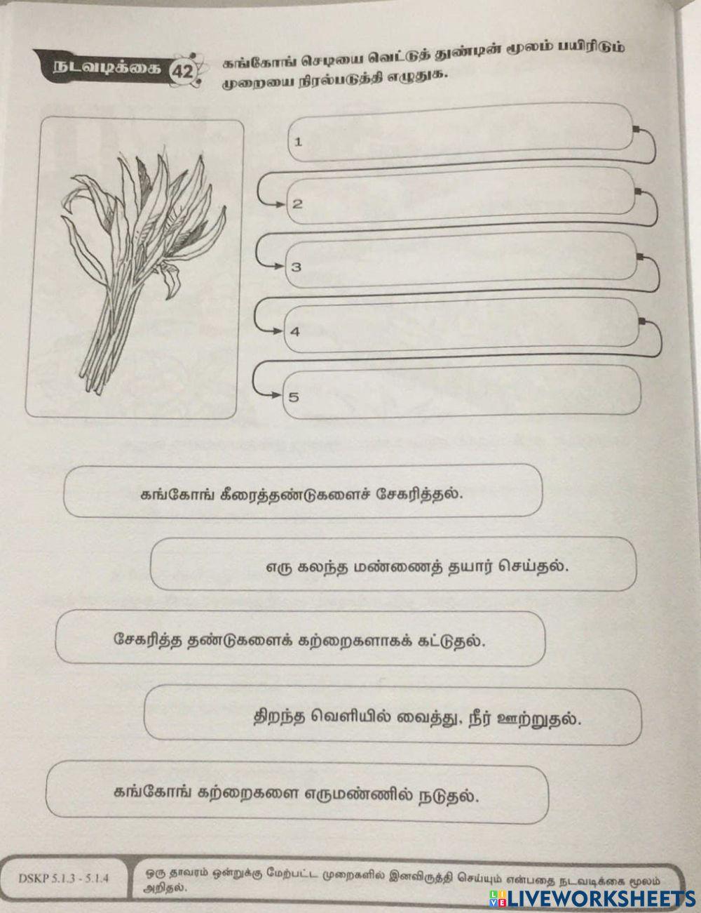 இனவிருத்தி முறை