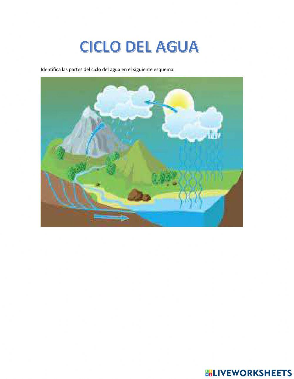 Partes del ciclo del agua
