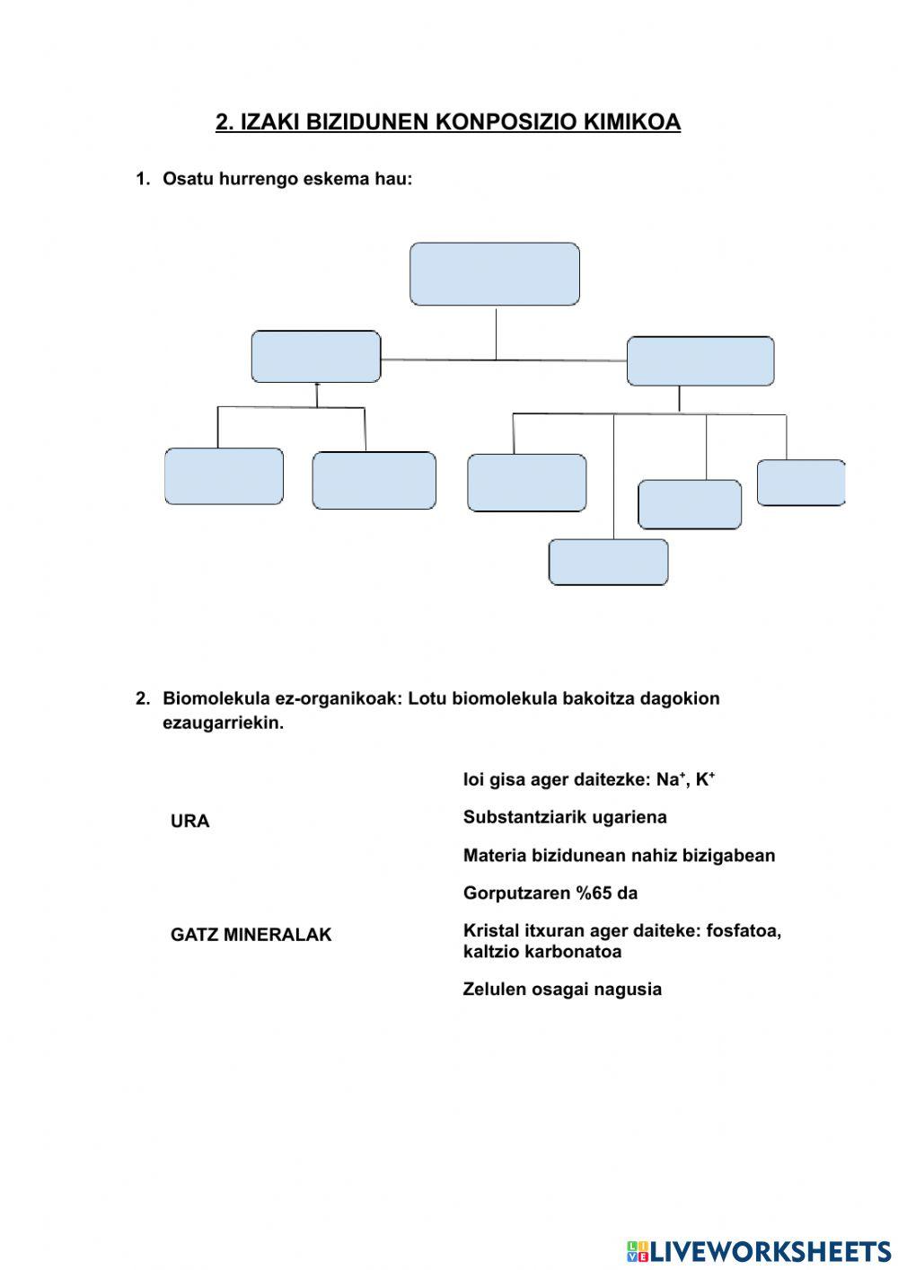 Izaki bizidunen konposizio kimikoa