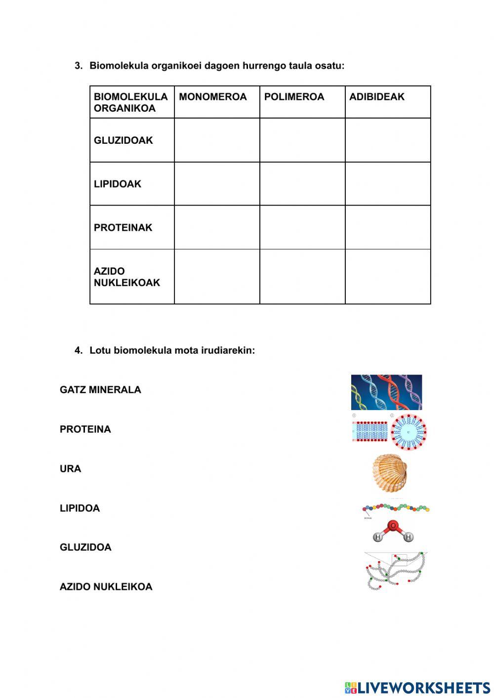 Izaki bizidunen konposizio kimikoa