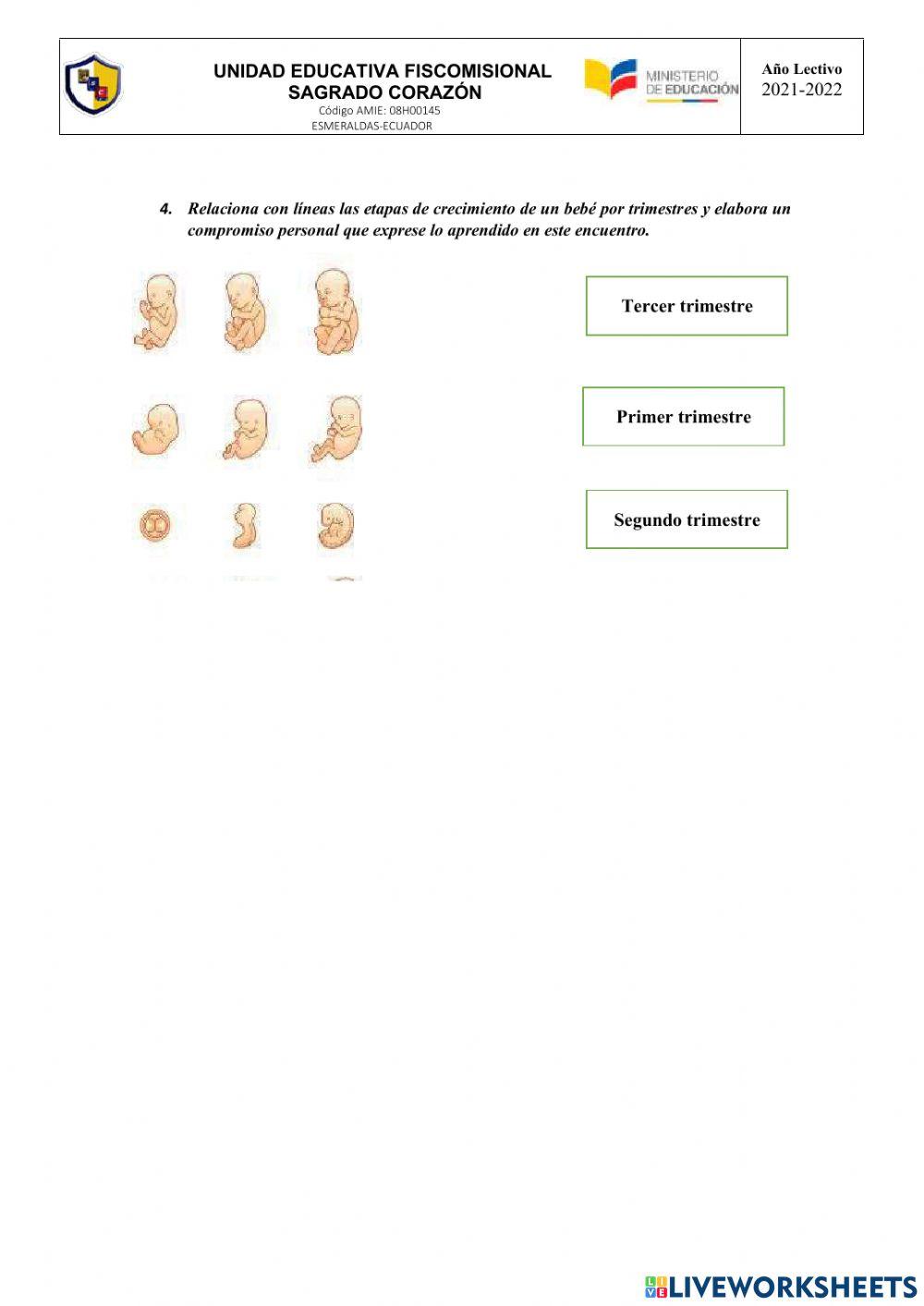 Una nueva vida, maravilloso milagro