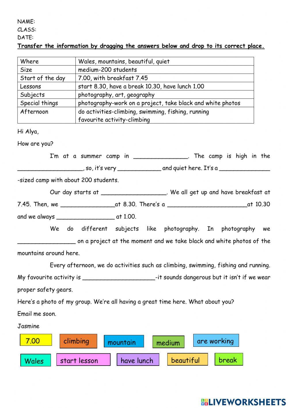 Information transfer: email writing