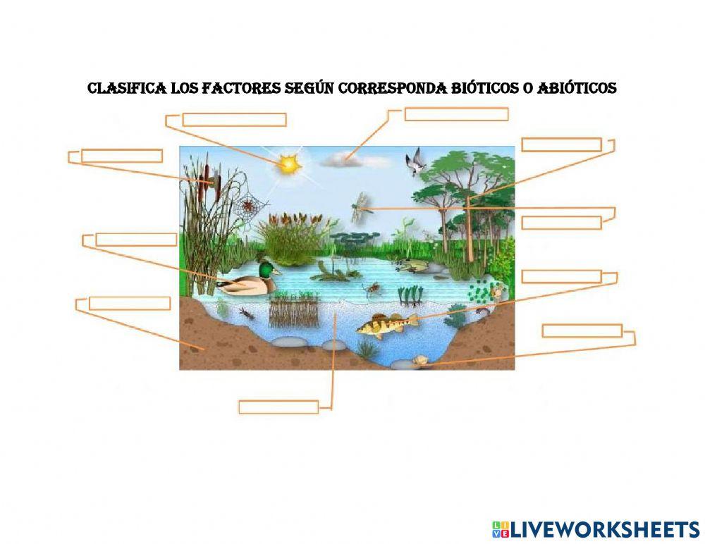 Seres Bióticos y Abióticos