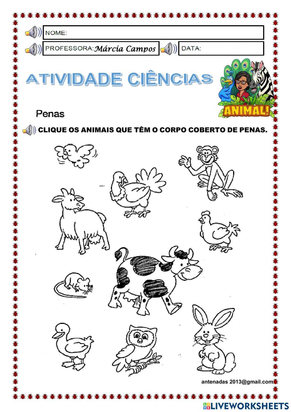 Animais