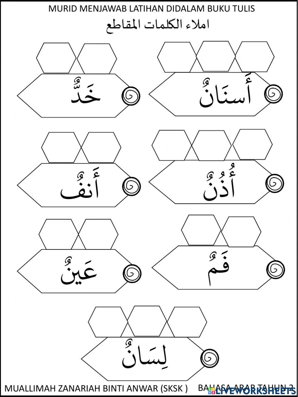 Anggota badan ( جسمي السليم )