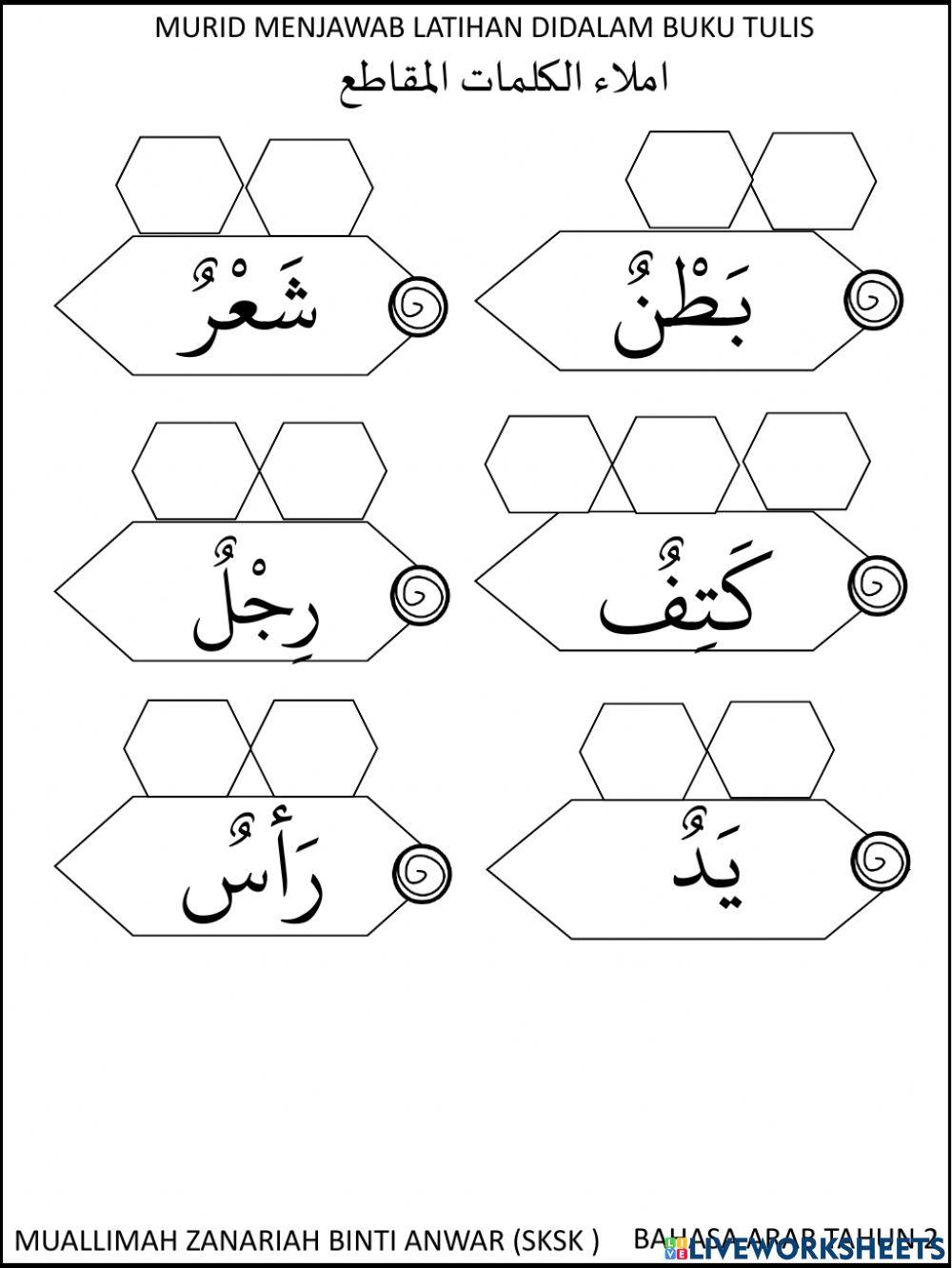 Anggota badan ( جسمي السليم )