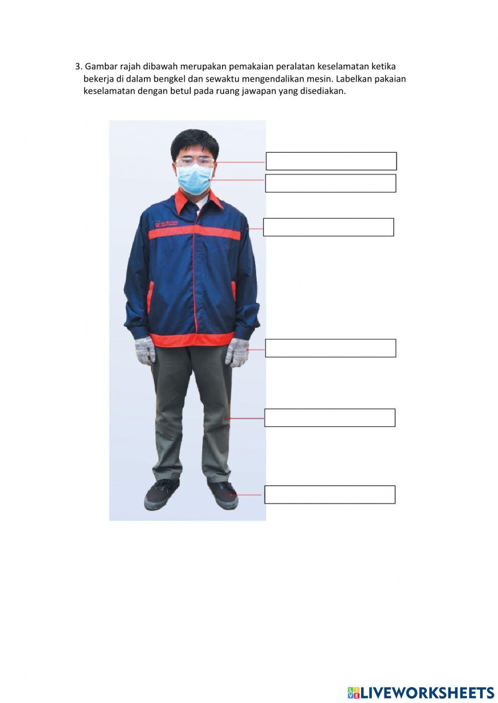 Modul 6 papar tanda berlampu