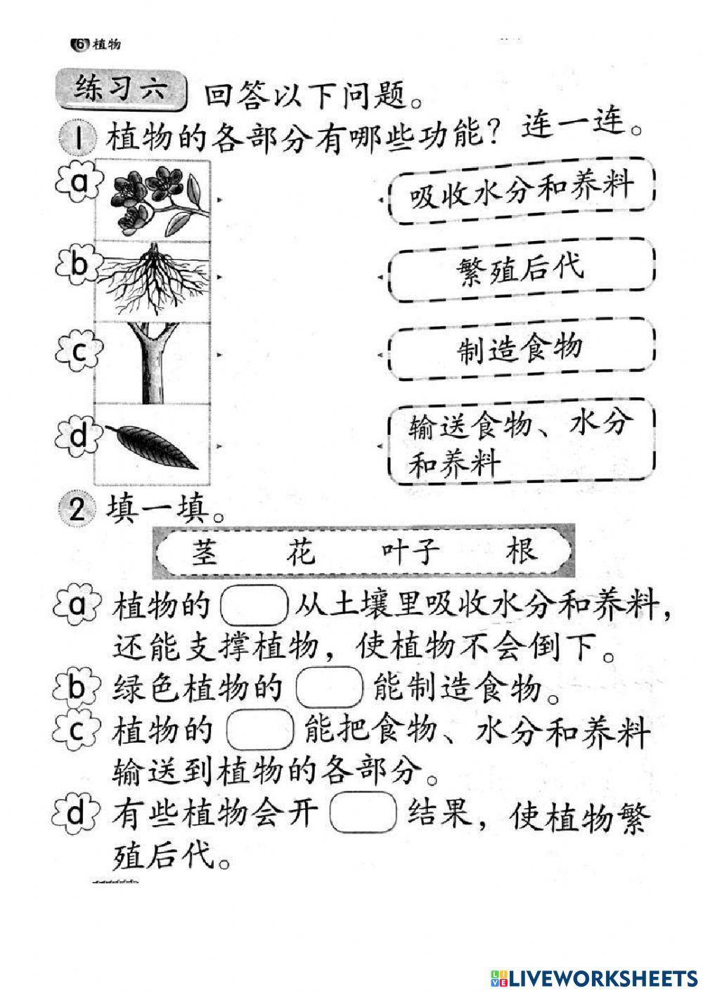 植物各部分的重要性