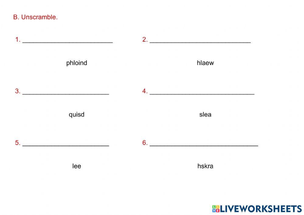 Sea creatures-vocabulary