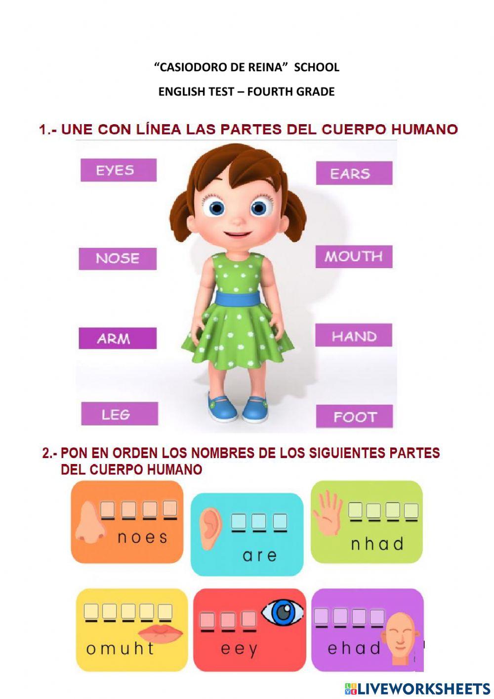 Las partes del cuerpo / Body Parts – Spanish Learning Resources, image size:1000x1413