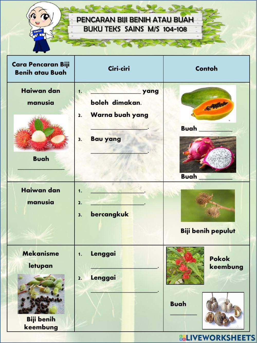 Cara Pencaran Biji Benih atau Buah