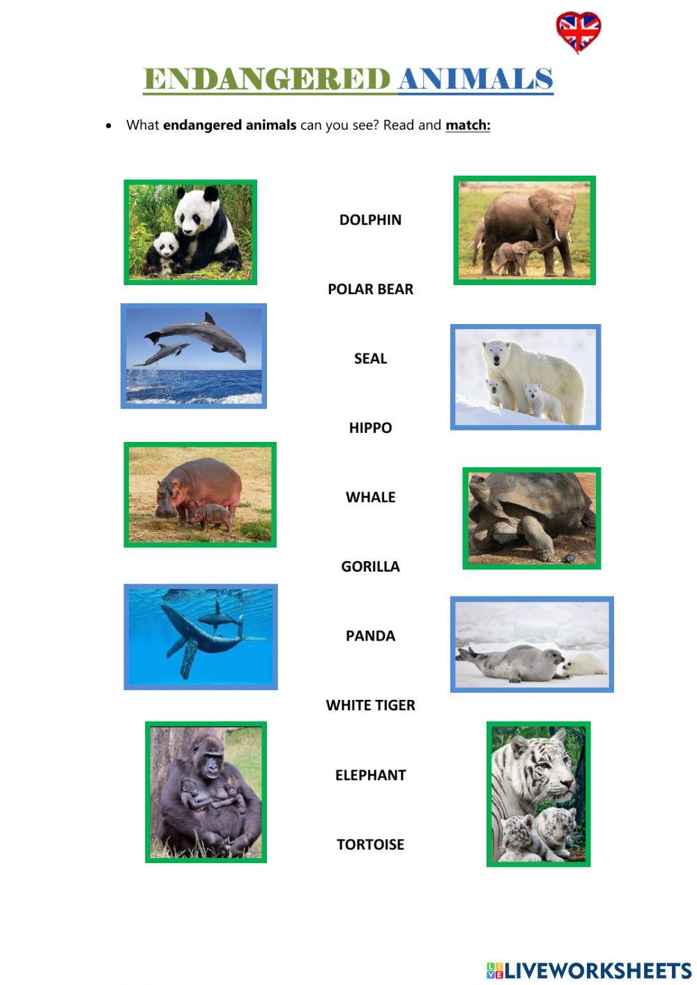 1164727 Endangered animals Teacherelcim
