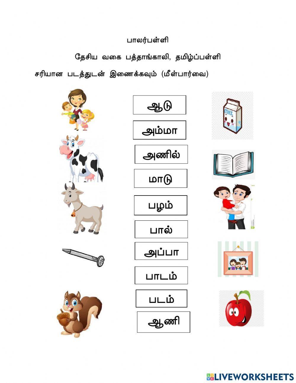 Tamil Worksheets Worksheet In 2021 Worksheets Learning Worksheets Tamil Worksheets Worksheet In 2021 Worksheets Learning Worksheets