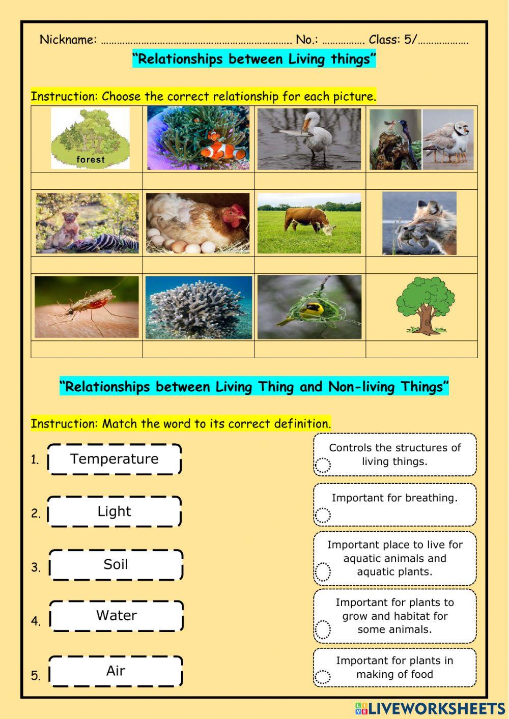 LT and NLT relationships