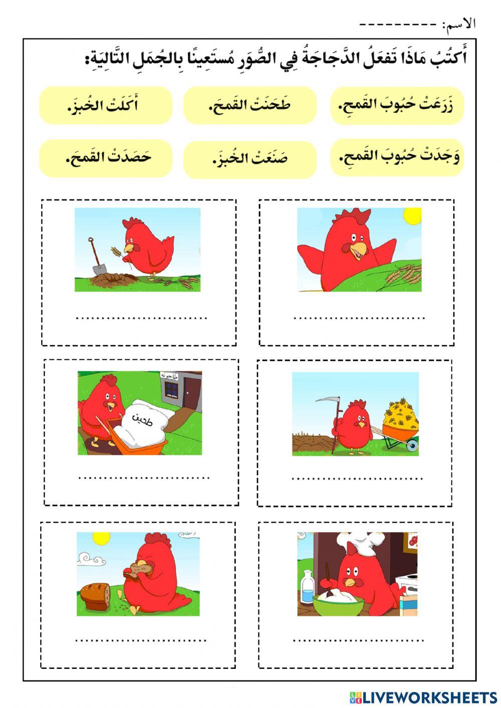 الدجاجة الكبيرة