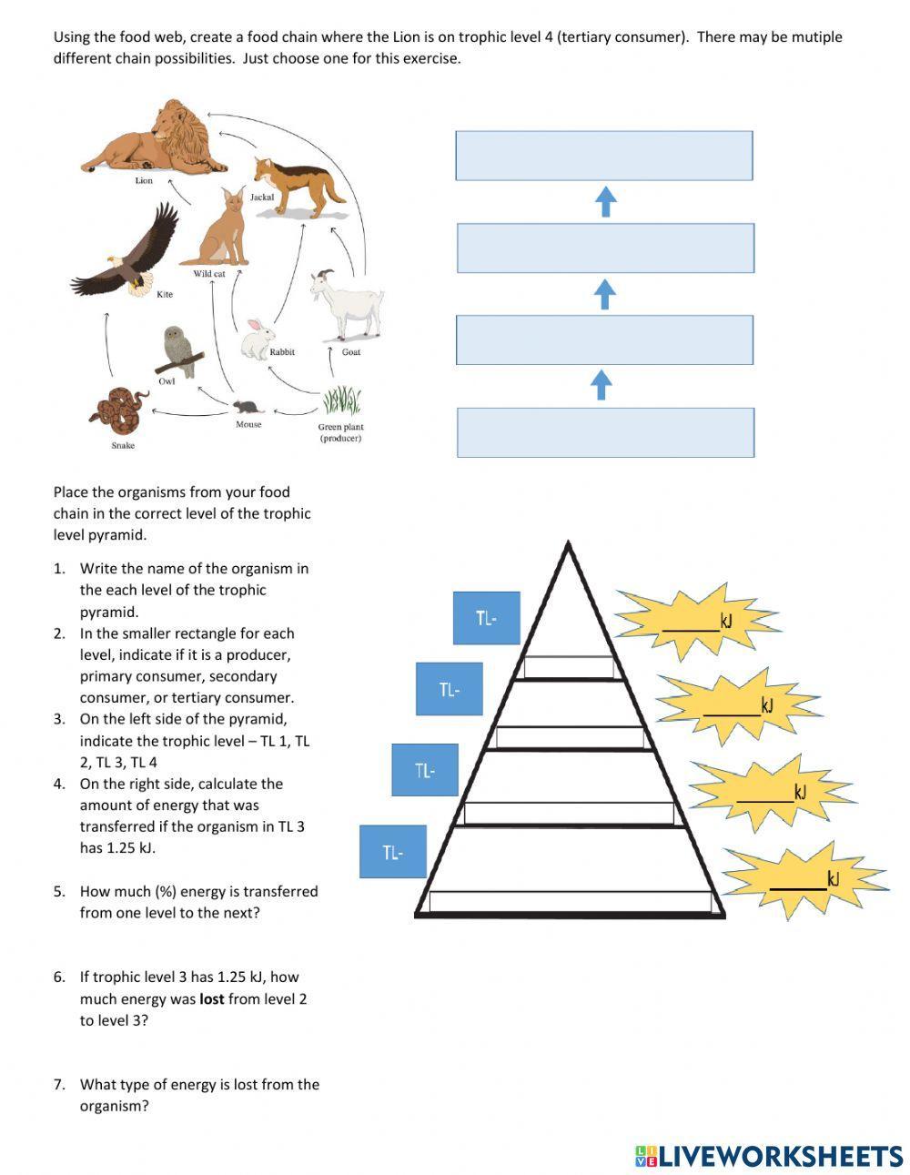 1165252 Trophic Levels cohenbio LiveWorksheets