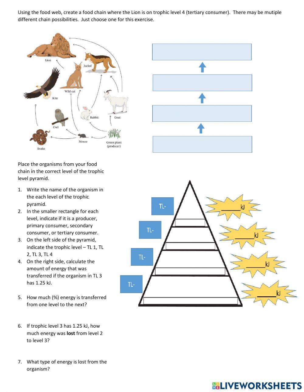 Trophic Levels