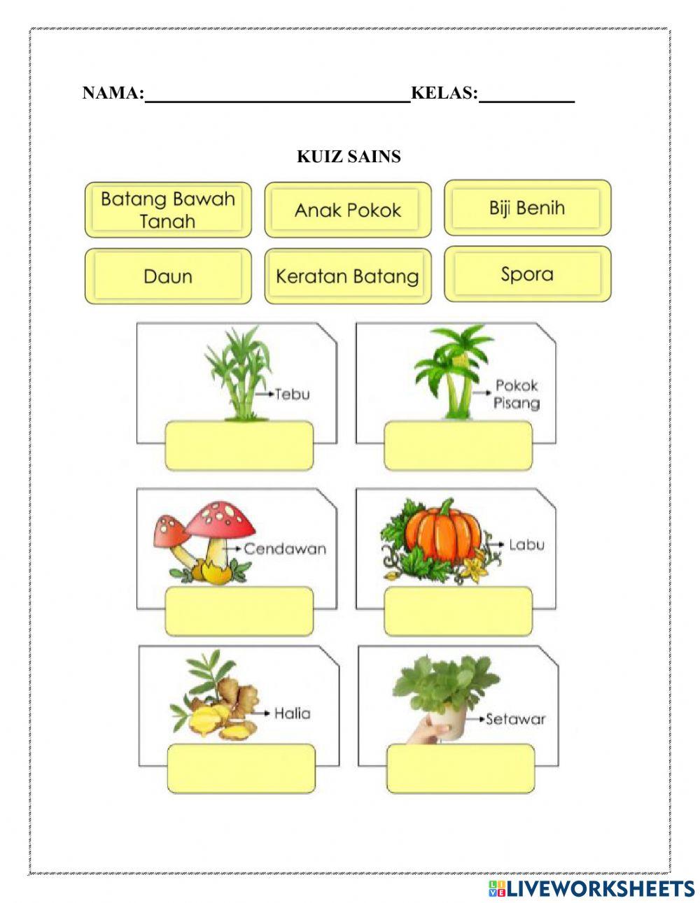 Kuiz sains dan matematik