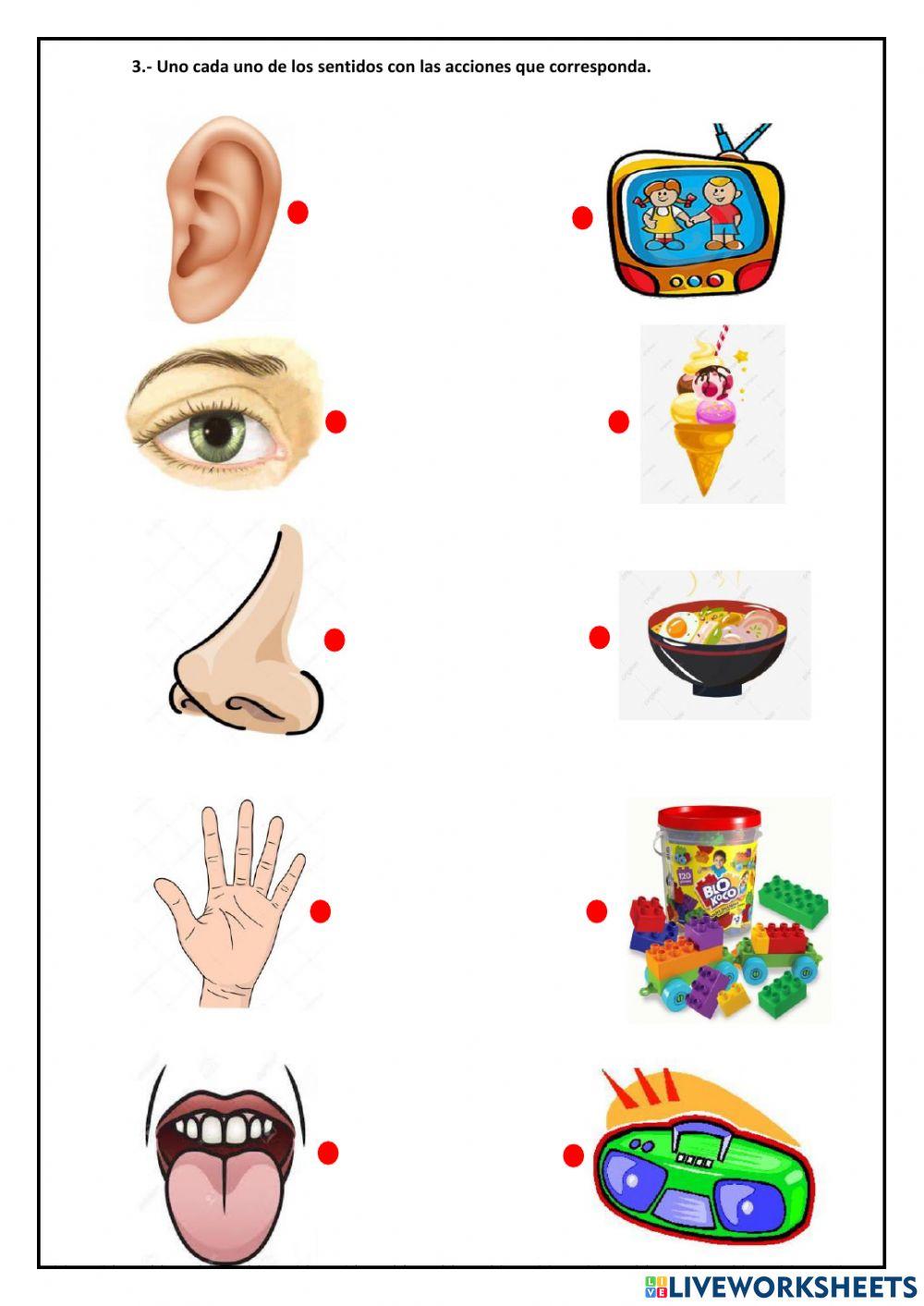 Evaluacion del primer parcial