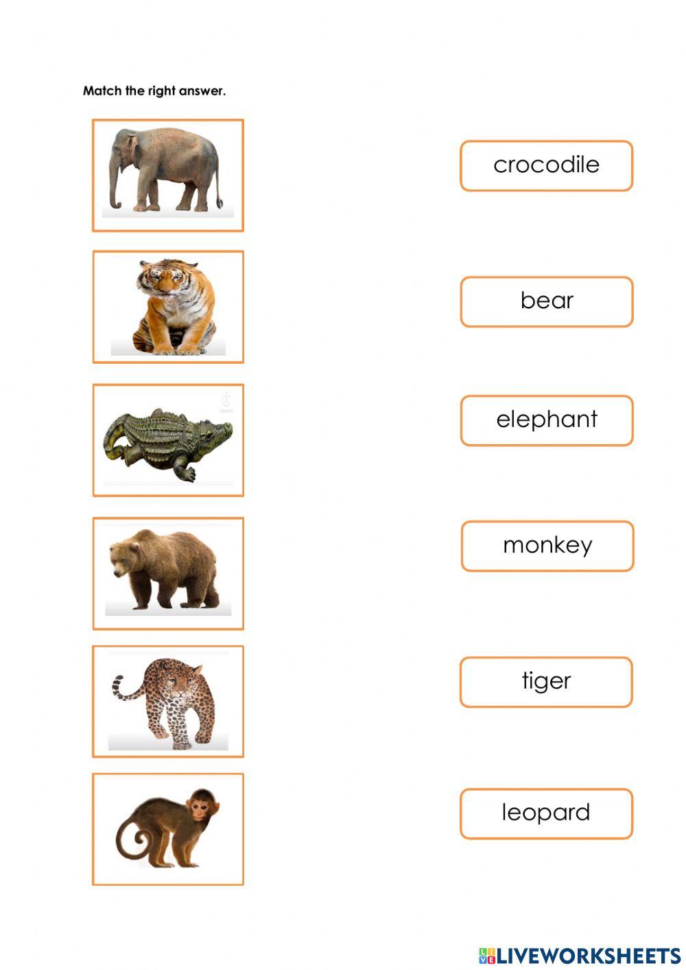 Worsheet Wild Animals