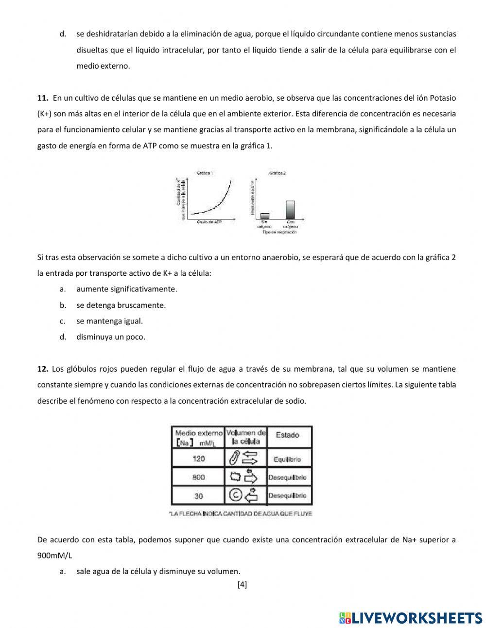 Actividad: membranas celulares