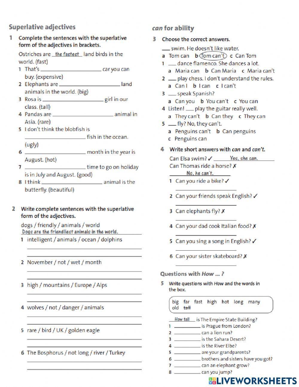 English Plus 1 - Practice unit 3