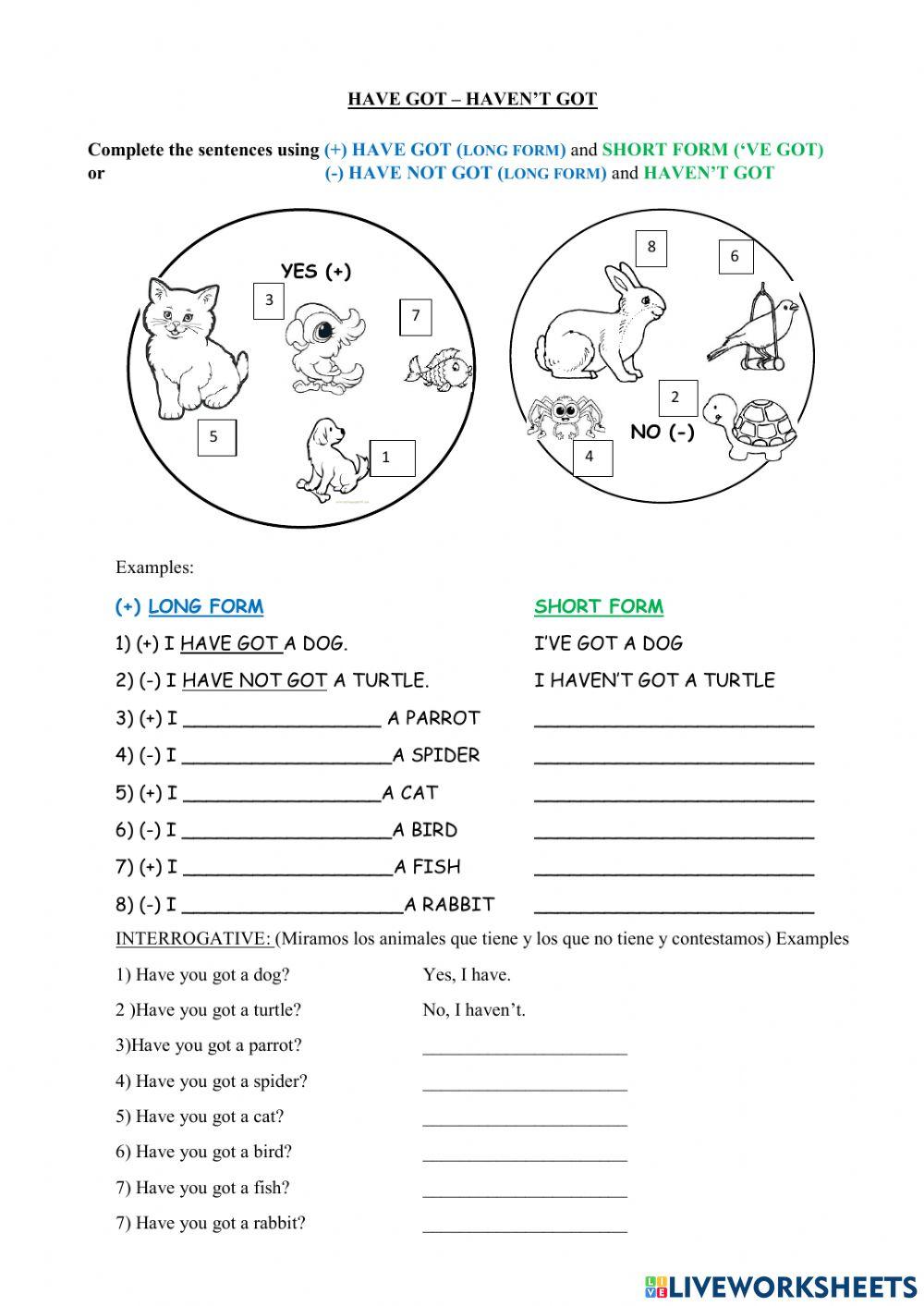 Have got - haven't got online worksheet | Live Worksheets