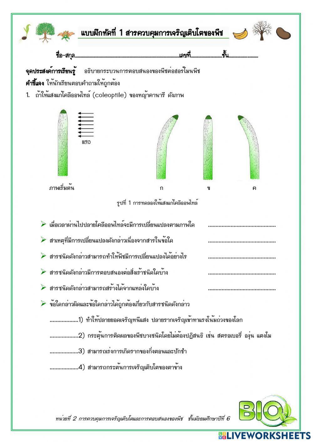 แบบฝึกหัด เรื่อง ฮอร์โมนพืช