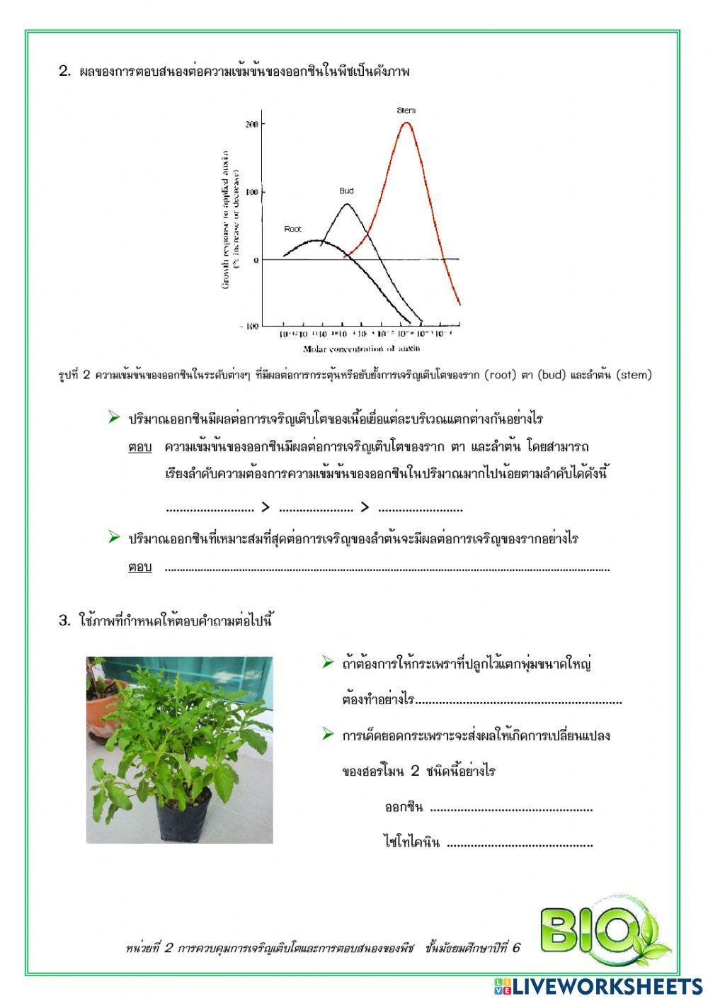 แบบฝึกหัด เรื่อง ฮอร์โมนพืช