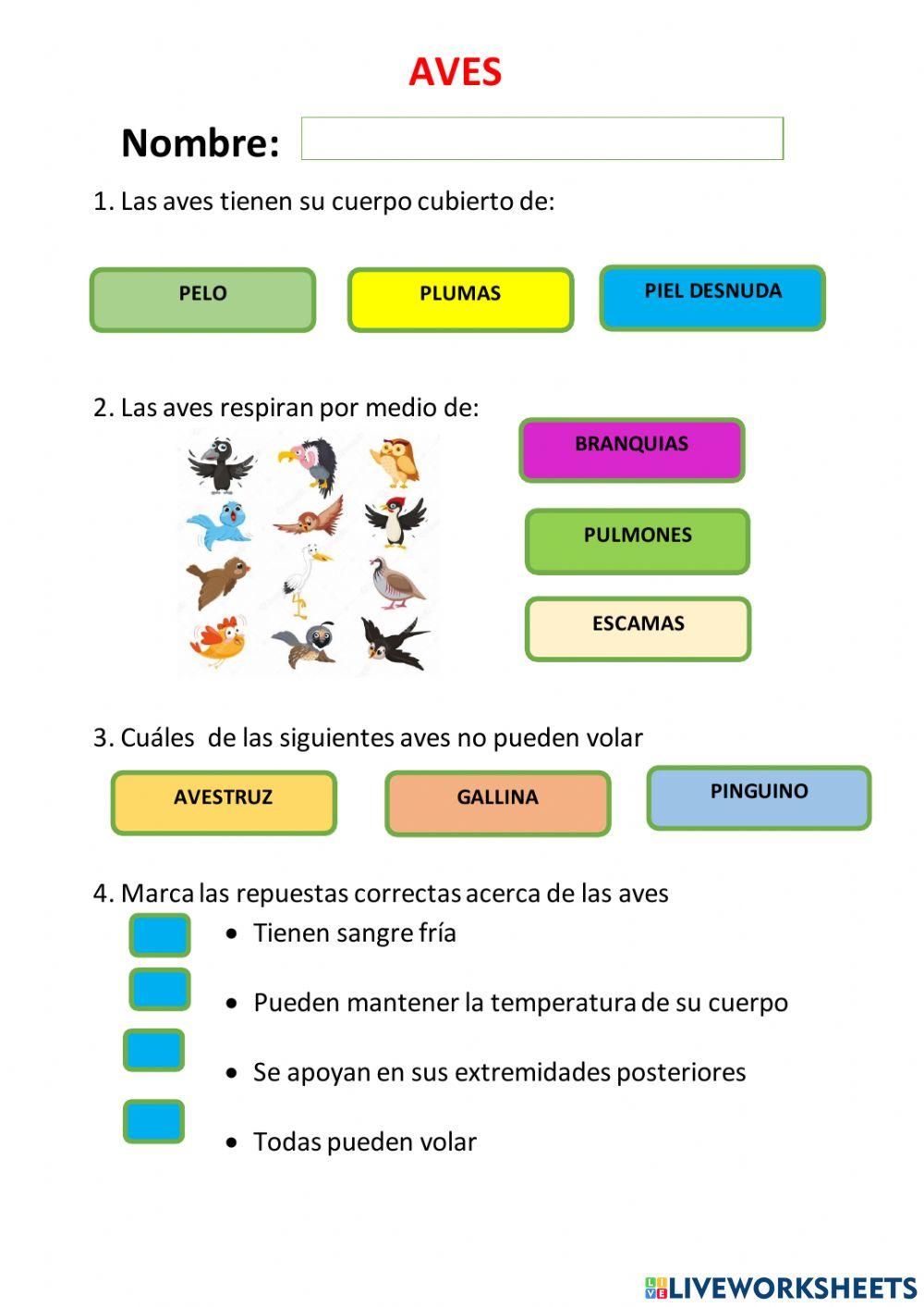Evaluación Aves